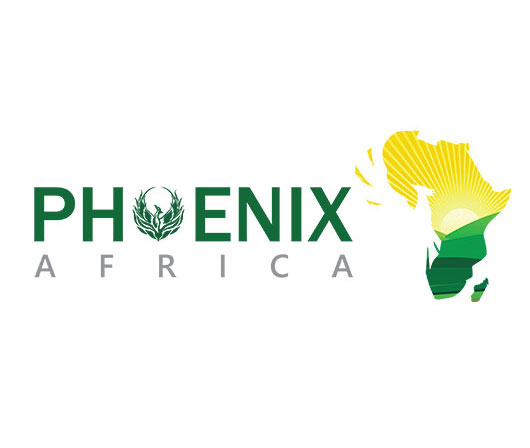 logo africa5